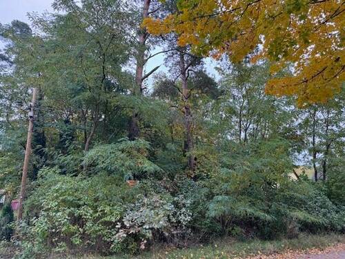 Natur pur! - Grundstück zum Kaufen in Rehfelde