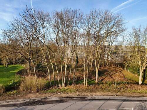 Straßenansicht - Grundstück in Duisburg / Rahm zum Kaufen