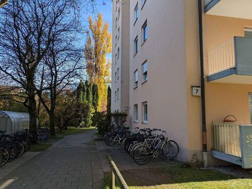 PXL_20251031_110041640.jpg - 