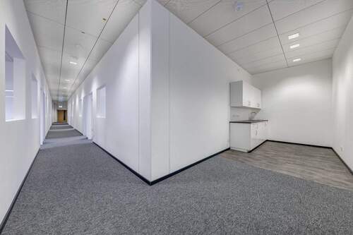 Bürofläche 3. OG - Büro zur Miete in Mainz