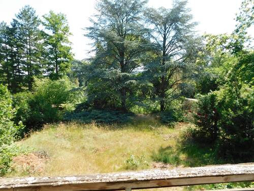 DSCN1332.JPG - Grundstück zum Kaufen in Niedernberg