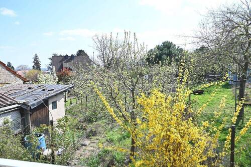 Garten.. - 