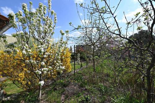 Garten - 