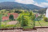 Zugang Garten - 