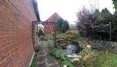 Gartenteich - 