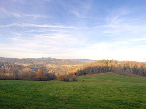 20251113_142141343_iOS.jpg - 