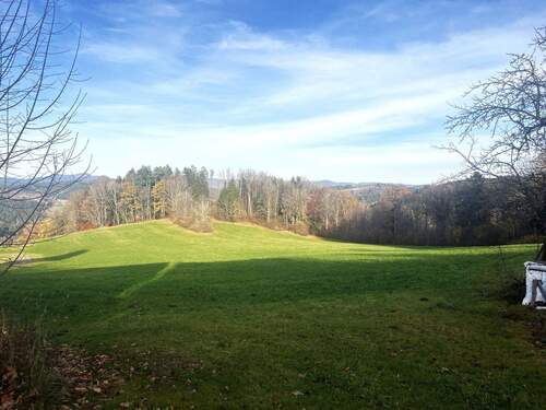 20251113_132827982_iOS.jpg - 