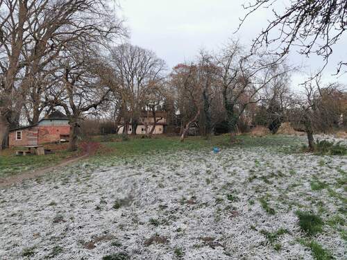 ca. 3000 qm großer Garten mit diversen Bäumen - 