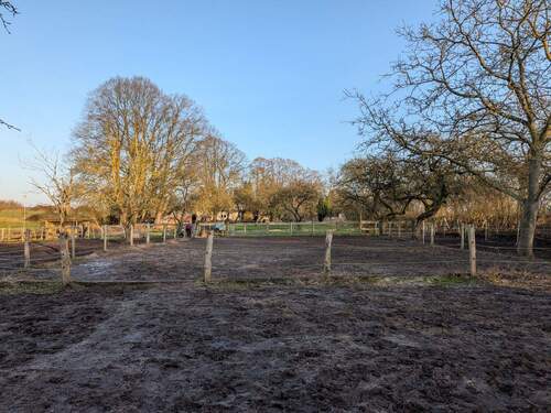 großer Paddockbereich - 