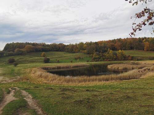 Hier erwartet Sie eine herrliche Ruhe und unberührte Natur.
Der Hund darf an der Leine mit. - 