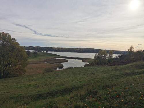 Am Ende des Weges ( ca 10 Min Fußweg) kommen Sie zum Dummersdorfer Ufer - 