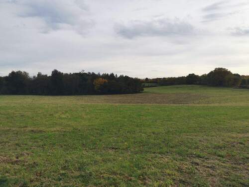 Idyllische Umgebung um die Hofanlage.
Hier: Letzes Haus vor der Trave/ Ostsee - 