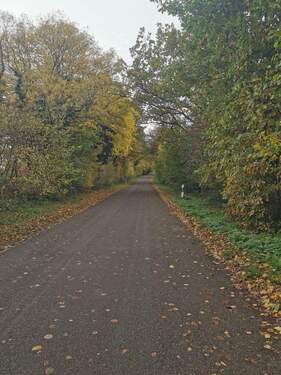 Die kleine Straße führt zu der Hofanlage und zum Naturschutzgebiet - 