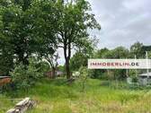 Bild 5.jpg - 
