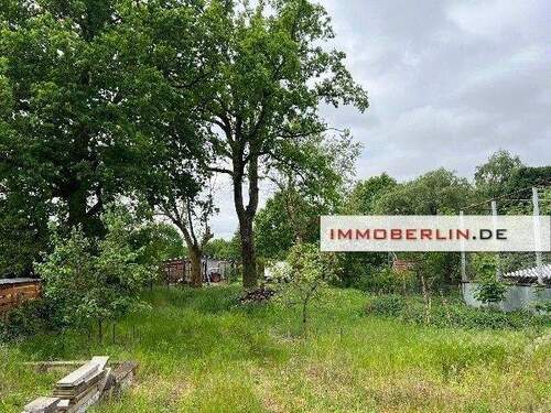 Bild 5.jpg - 
