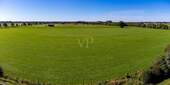 Ausblick - 
