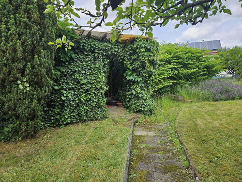 Blick zum Laubeneingang - 