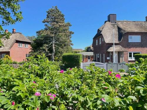 In schöner Umgebung.jpg - 