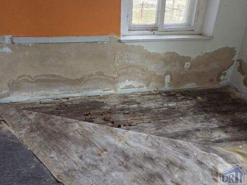 Schadstelle Schwamm - 8 Zimmer Mehrfamilienhaus, Wohnhaus in Zittau