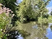 Teichanlage - 