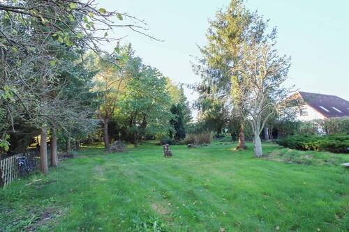 Garten - Grundstück in Velgast
