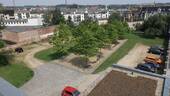 DSCF2743 - Kopie - 