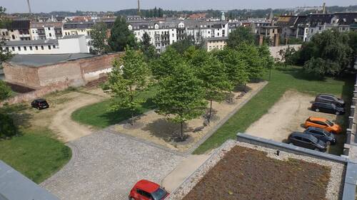DSCF2743 - Kopie - 