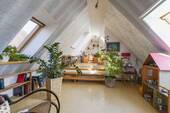 Dachspitz - 