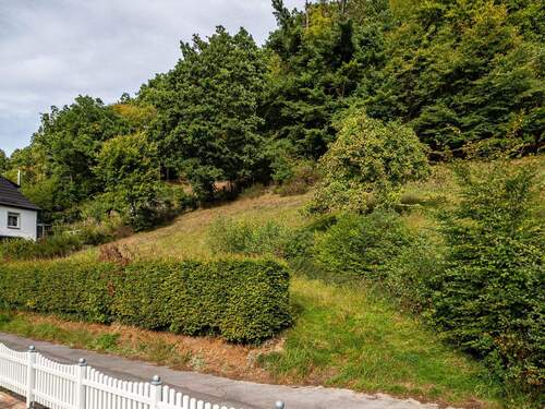 Grundstück - Grundstück in Sundern zum Kaufen