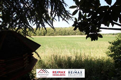 Blick vom Garten - 