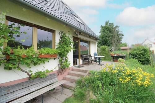 Terrasse - 