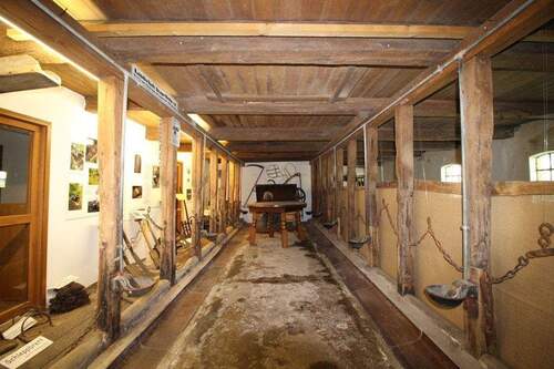 Stallbereich - 