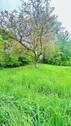 Der große Garten - 
