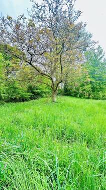 Der große Garten - 