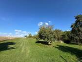 Blick auf die Streuobstwiese von der Garten-/Südseite des Grundstücks - 