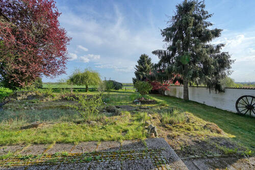 Blick in den Garten - 