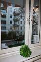 Ausblick - 