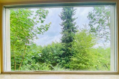 Ausblick - 
