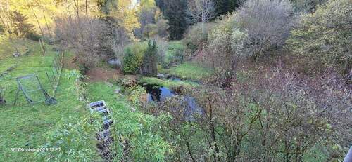 Garten mit großem Teich - 