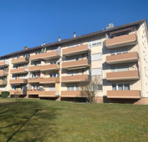 3-Zimmer-Wohnung in attraktiver Lage mit 2 Balkonen. - Singen (Hohentwiel)