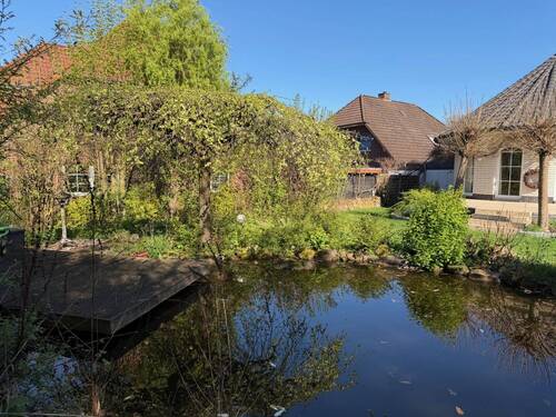 Teich - 