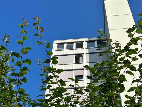 Letzter Stock - 3 Zimmer Etagenwohnung zum Kaufen in Balingen