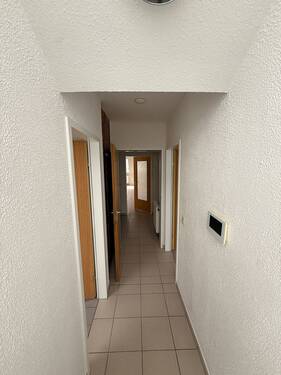 IMG_2546 - 
