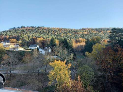 Ausblick aus dem Dachfenster - 