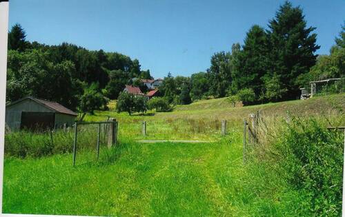 Einfahrt zum Baugrundstück - Grundstück in Viernau zum Kaufen