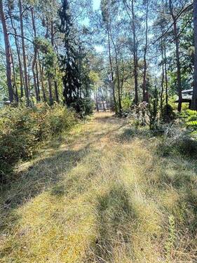 Grundstückszufahrt - Hervorragendes Baugrundstück in ruhiger Lage