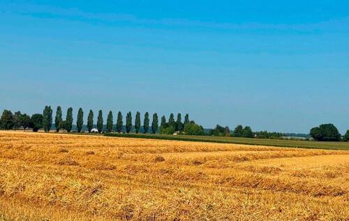 invivo_haus_Weil_Ort_03.jpg - 