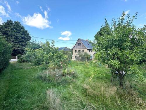 Gartenbereich mit Obstbäumen - 6 Zimmer Einfamilienhaus zum Kaufen in Steina