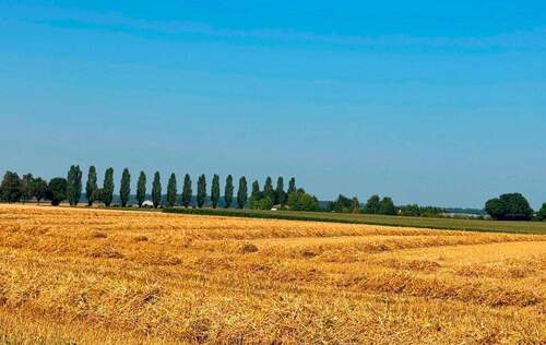 invivo_haus_Weil_Ort_03.jpg - 