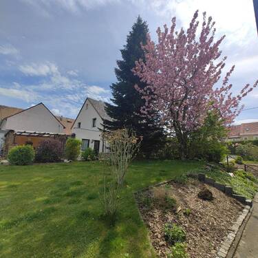 EFH - Garten Hofbereich 01 - 